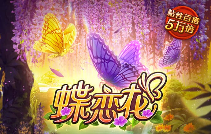 彩博888网手机版